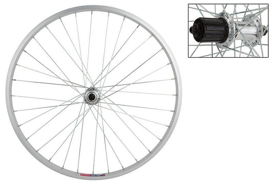 WM Wheel Rear 26x1.5 559x19 Aly Sl 36 Tx800 8-10scas Sl 135mm 14gucp 1