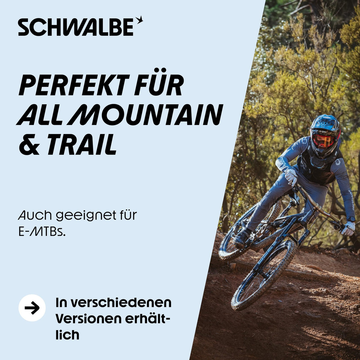 Schwalbe Tacky Chan Tire 29 x 2.40 Tubeless Fold Black Evolution Super Ground 6