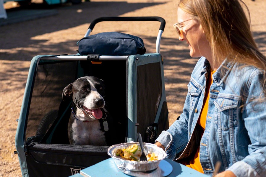 Burley Bark Ranger™ XL Pet Trailer One size Black/Dark Teal 13
