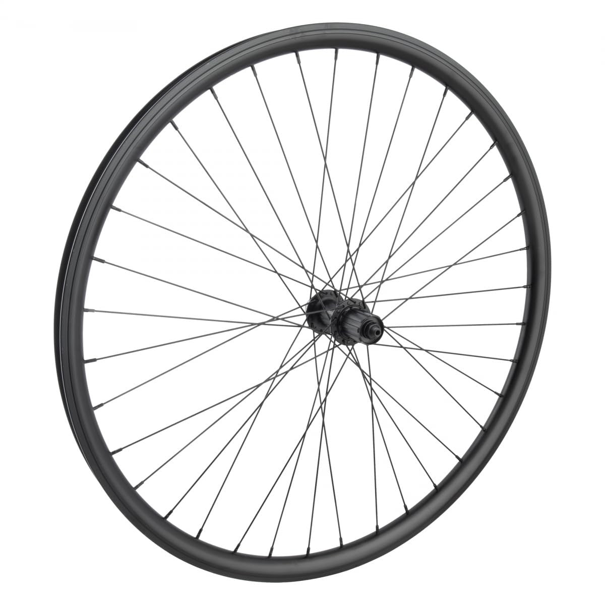 Wheel Master 700C/29in Alloy Hybrid/Comfort Disc Double Wall 700C RR W/M 1