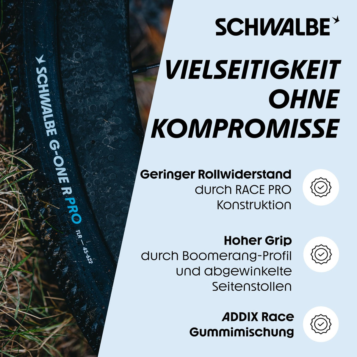 Schwalbe G-One R Tire - 700 x 40 Tubeless Folding Black Evolution Pro Addix Race 4