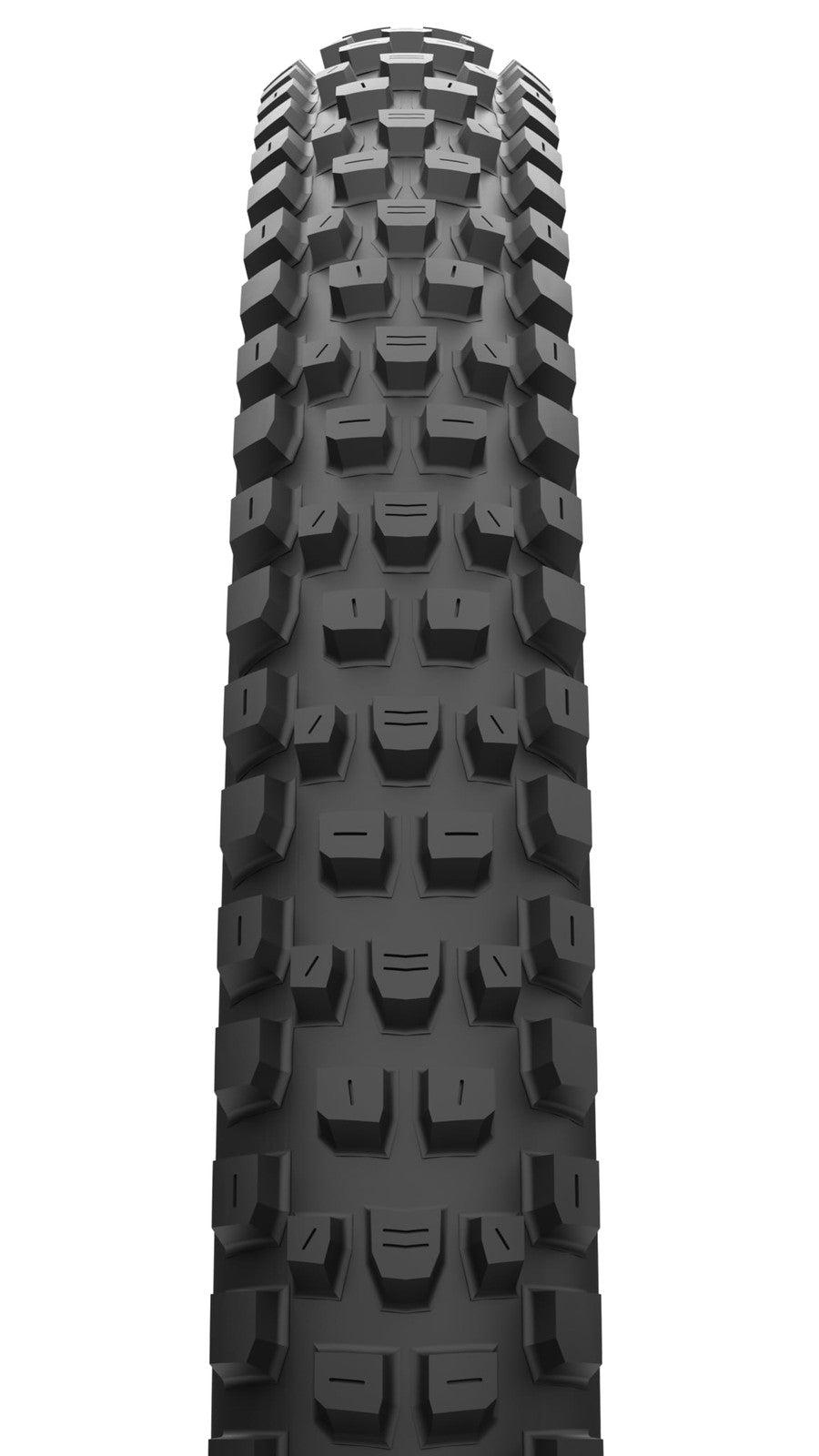 Maxxis Dissector II | MaxxTerra - EXO+ | E50 Mountain Bike Tire 29x2.40 2