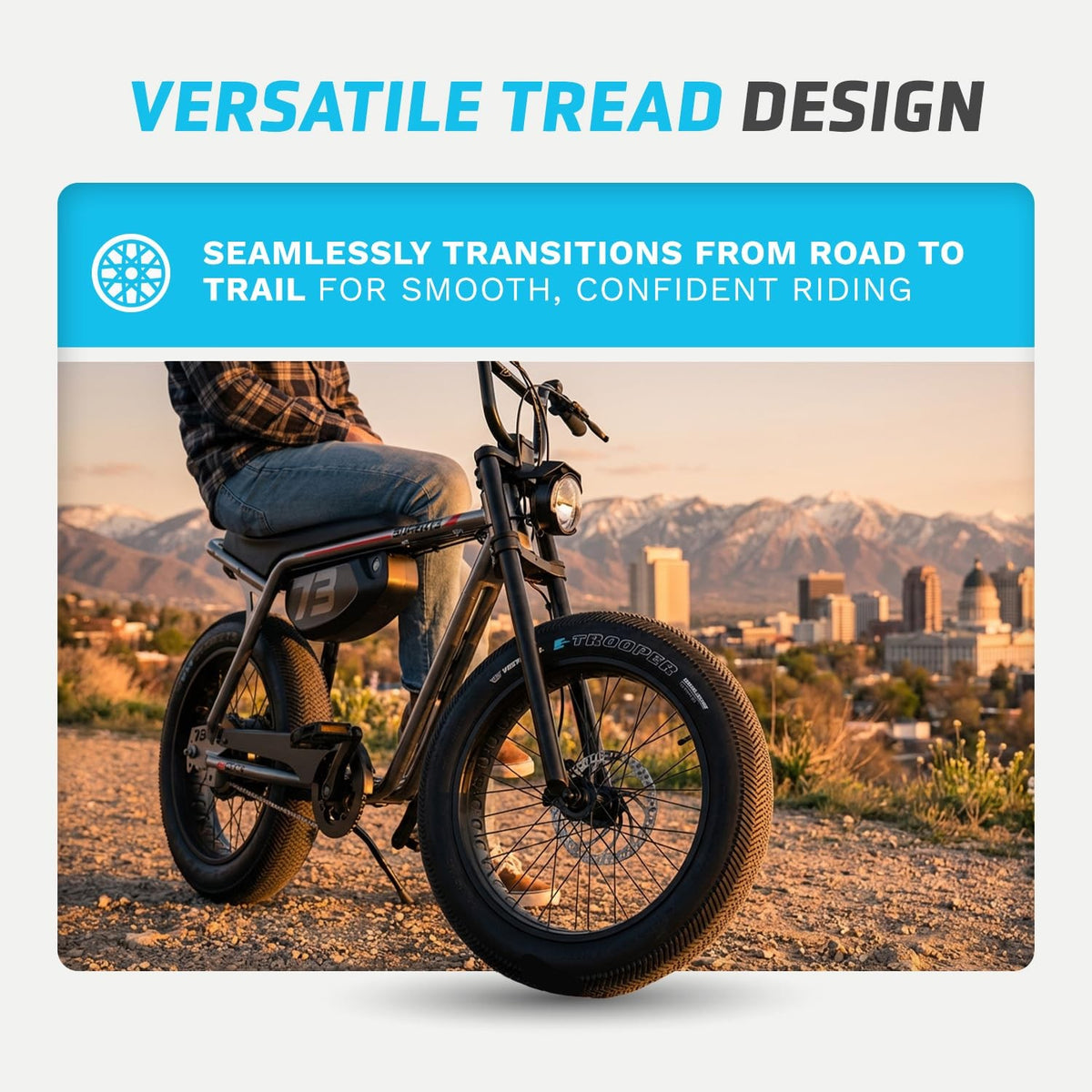 Vee Tires Trooper E-Bike Tire, 20" x 4" Bike Tire, Black 5