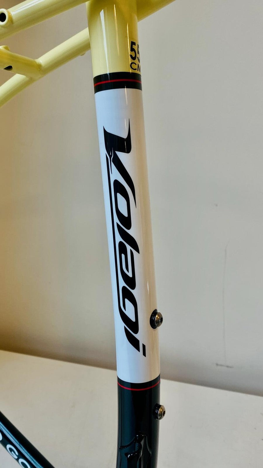 Volagi Viaje XL Cream Cr-Mo Frame & Full Carbon Fork 55cm BB386EVO 6